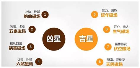 延年加伏位|乔一：伏位加延年磁场组合分析